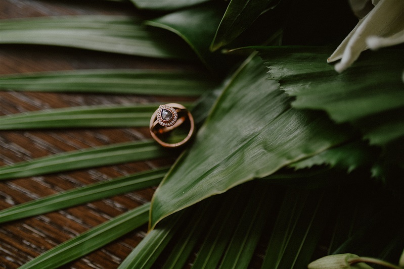 Two wedding rings sit onto of tropical greenery