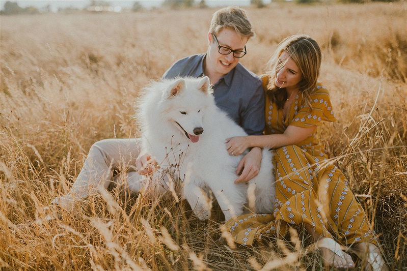 A couple sits in long grass with their cute dog at Discovery Park in Seattle for their engagement photos.