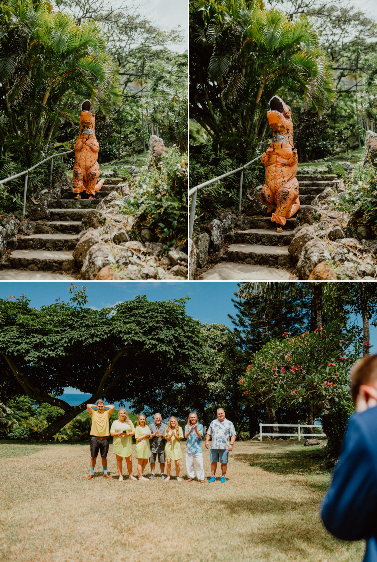 Bride about to surprise her groom in a dinosaur costume in Paliku Gardens Venue at Kualoa Ranch Jurassic Park theme