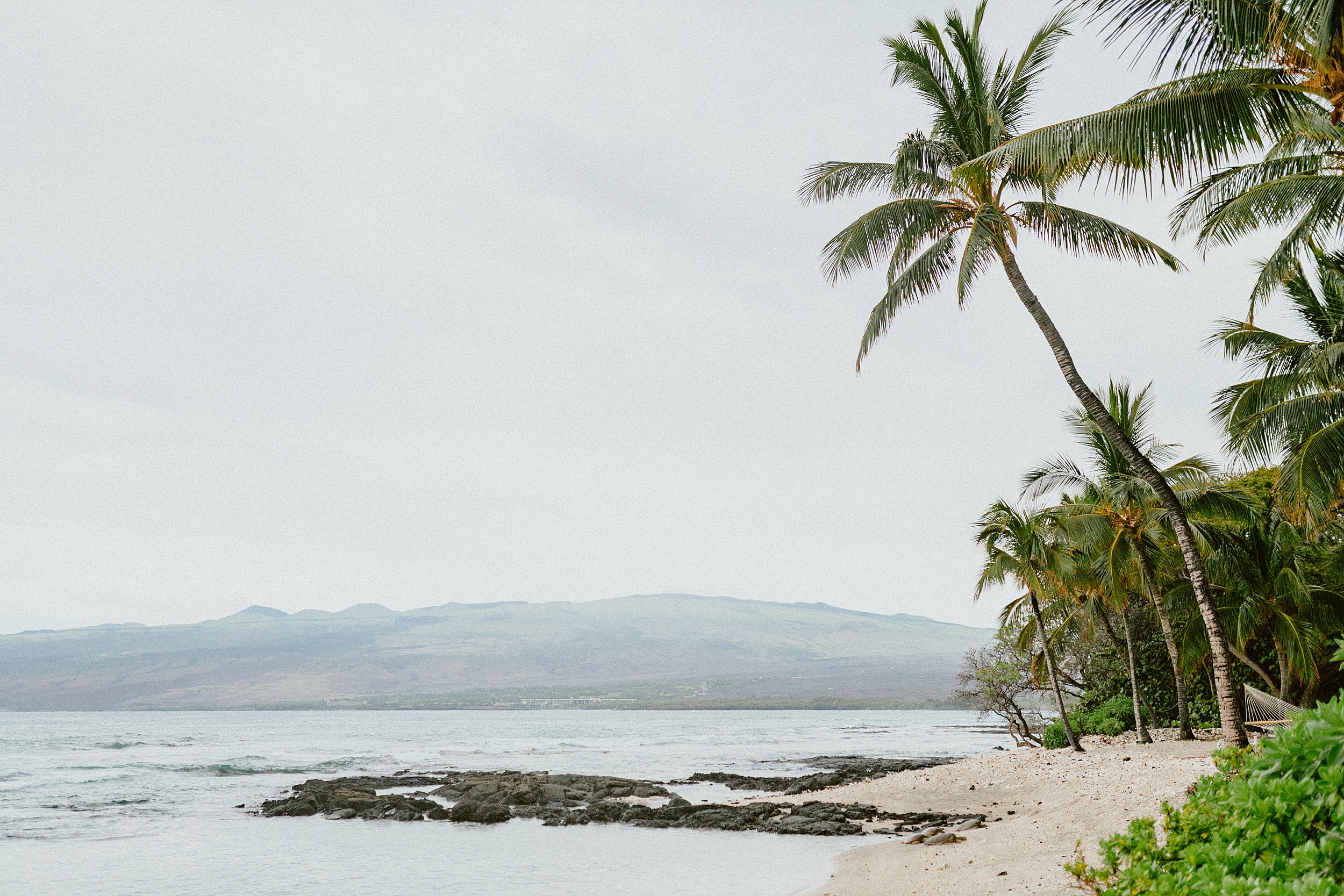 puako hawaii landscape
